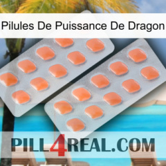 Dragon Power Pills 27